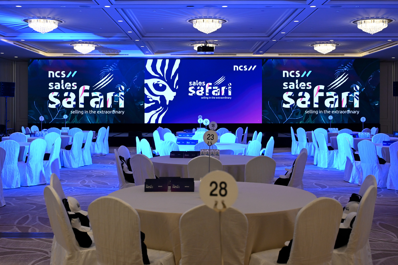 NCS Sales Safari